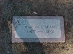 #6 - 24 x 12 Mountain Rose marker-design - 